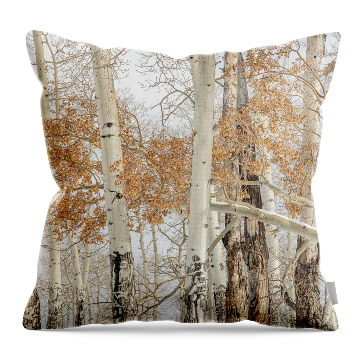 Aspens Throw Pillow featuring the photograph The Fallen by Angela Moyer