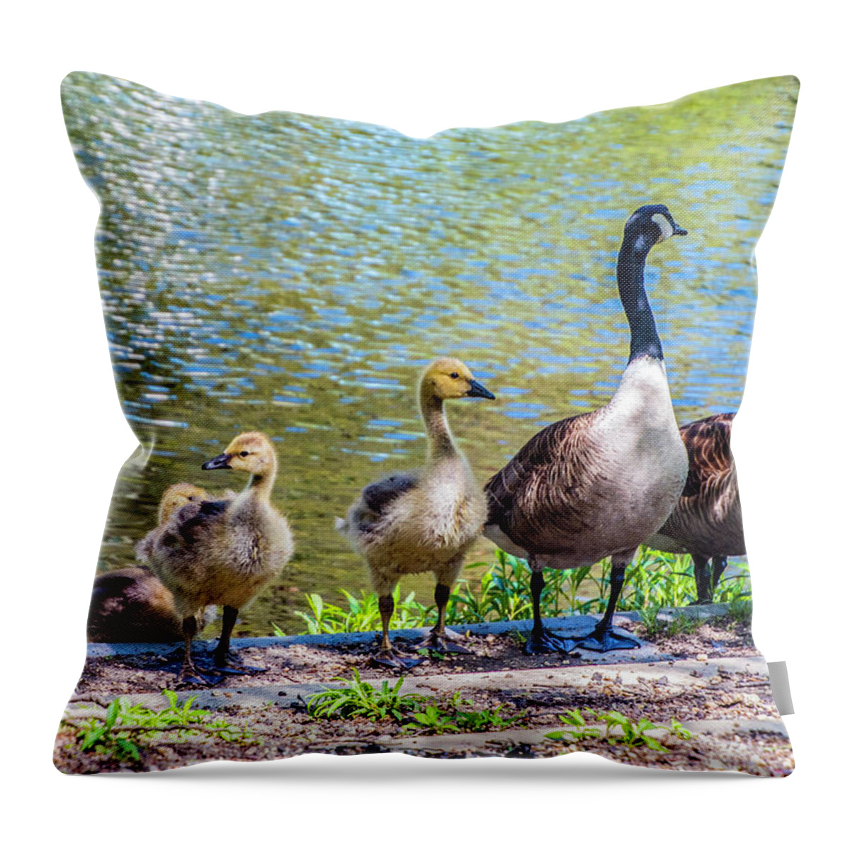 Geese Throw Pillow featuring the photograph The Family by Cathy Kovarik