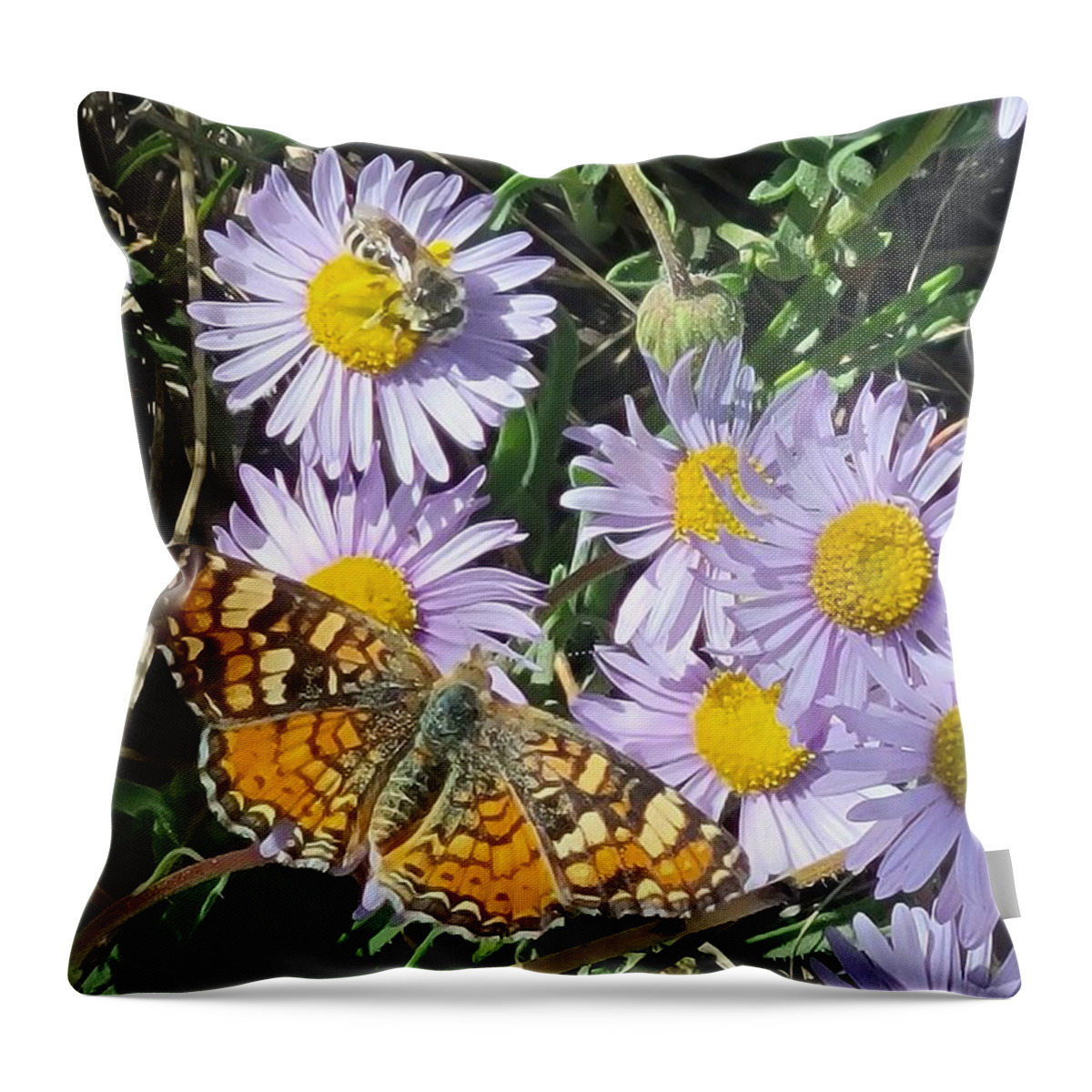 The Feast Throw Pillow featuring the photograph The Feast by Jennifer Forsyth