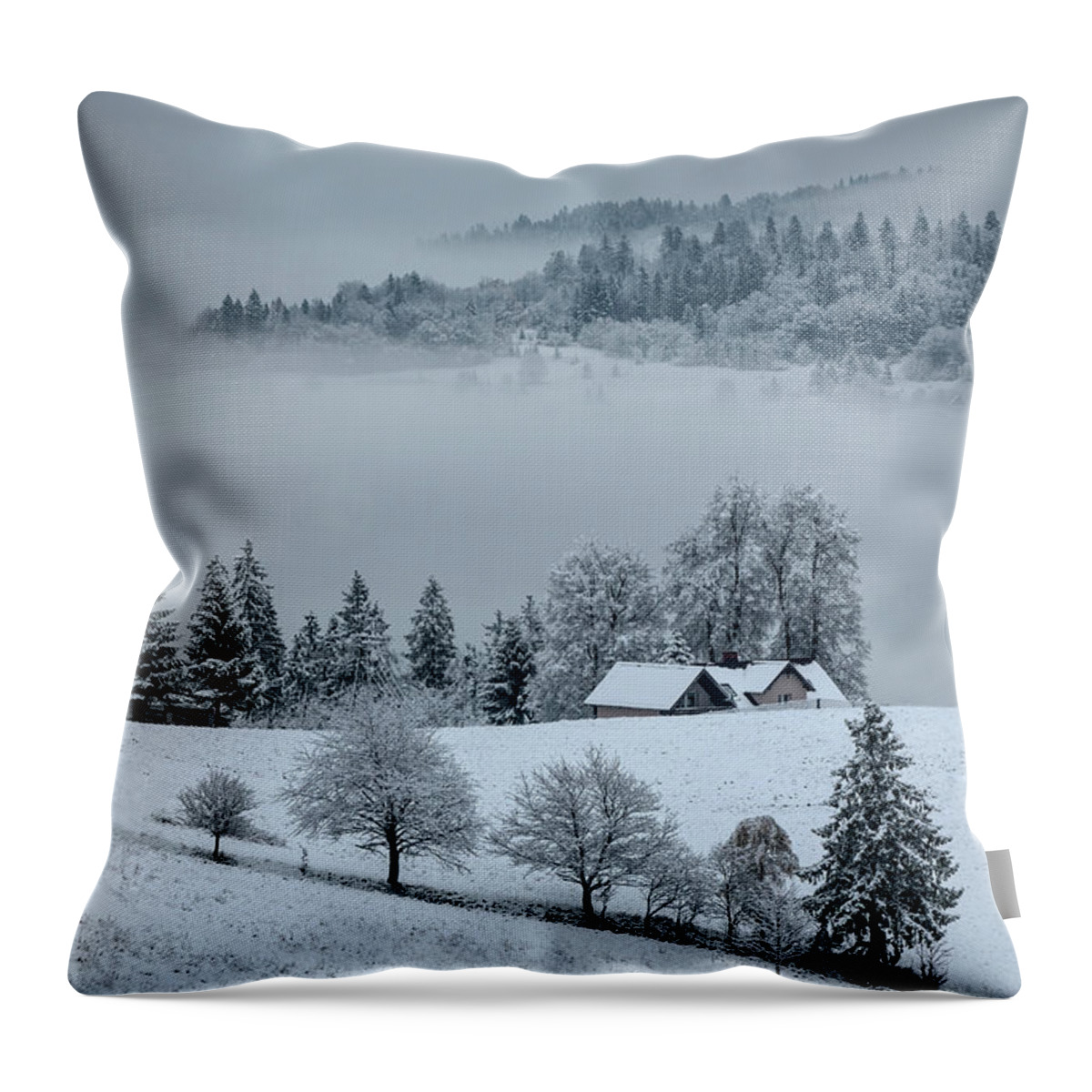Landscape Throw Pillow featuring the photograph The first snow by Jaroslaw Blaminsky