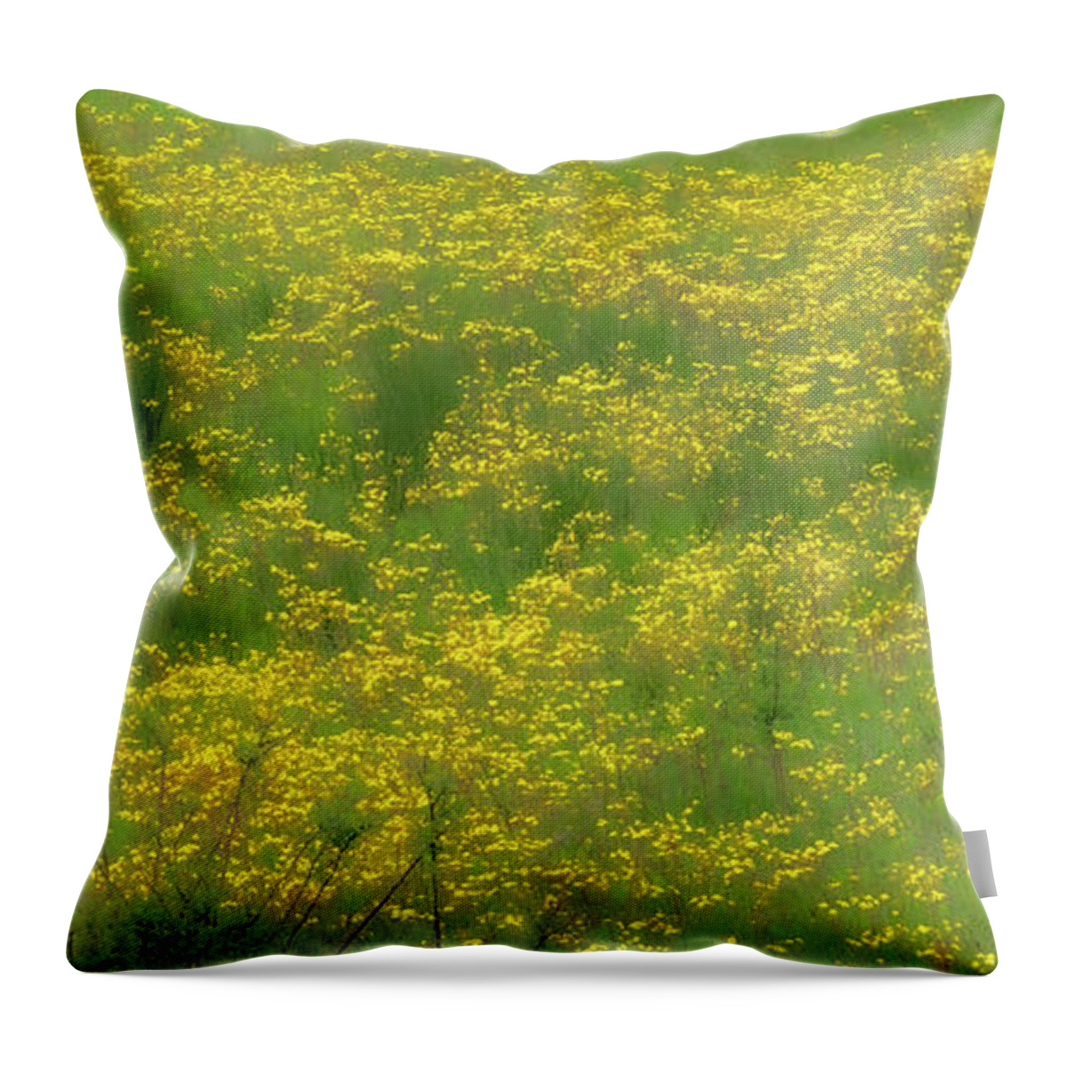 Mountains Throw Pillow featuring the photograph The Flowers of Spring fx 503 by Dan Carmichael