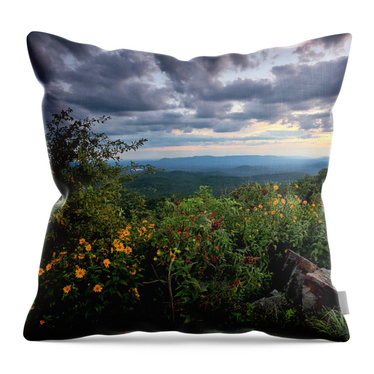 Summer Throw Pillow featuring the photograph The Forever View - Queen Wilhelmina State Park by William Rainey