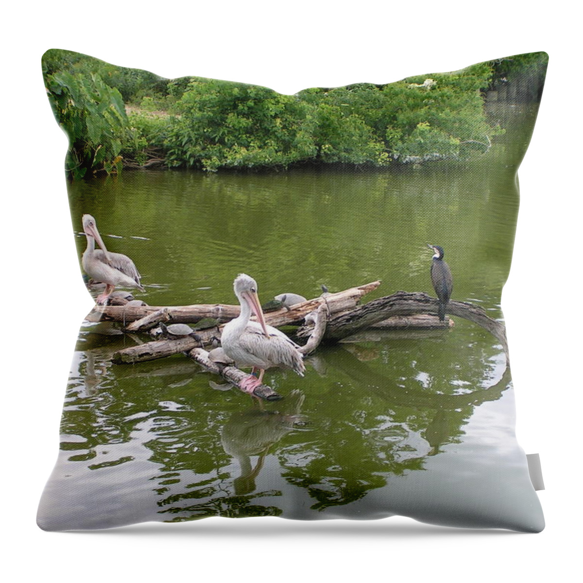 Pelican Throw Pillow featuring the photograph The Gathering by Heather E Harman