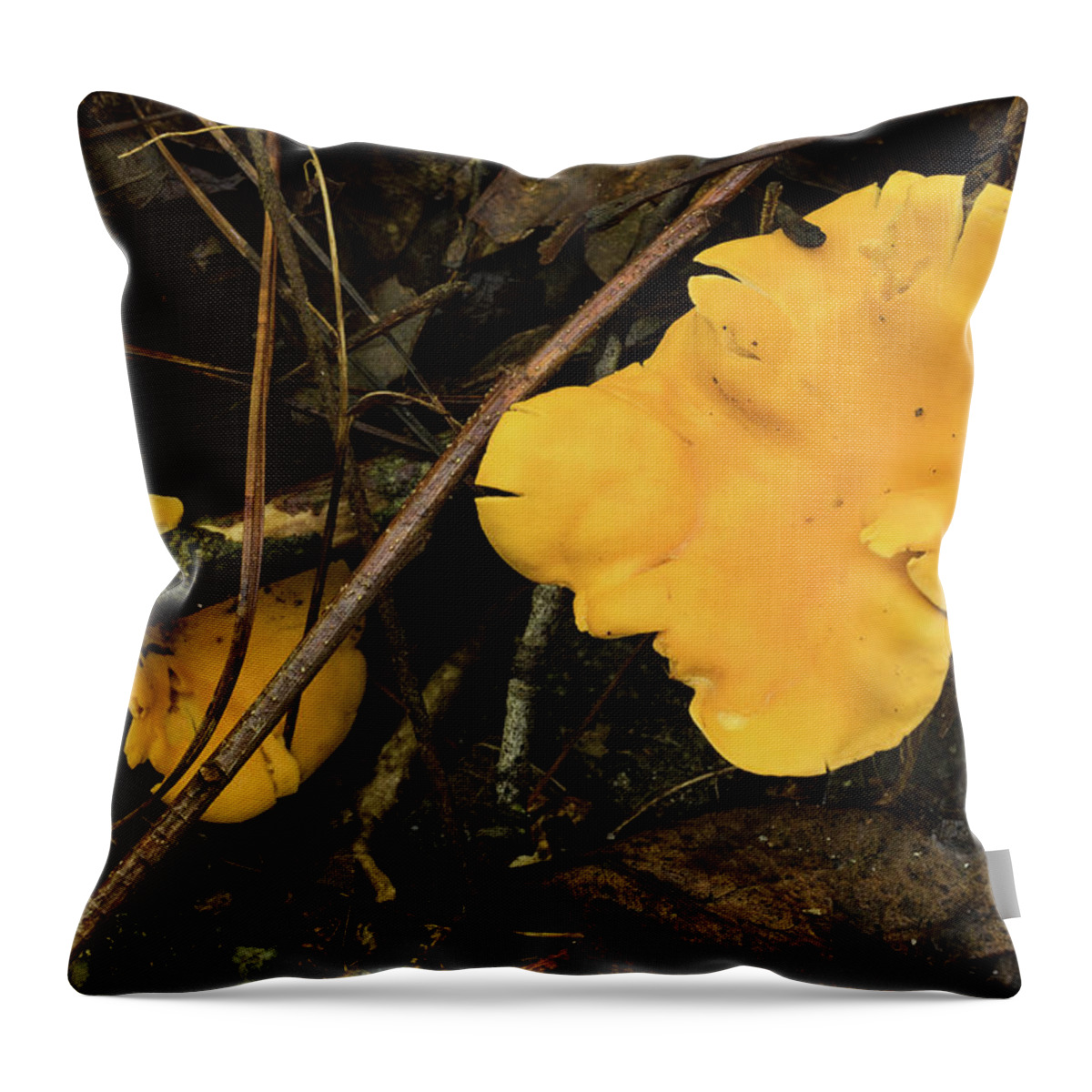 Mcdowell County Throw Pillow featuring the photograph The Golden Mushroom by Joni Eskridge