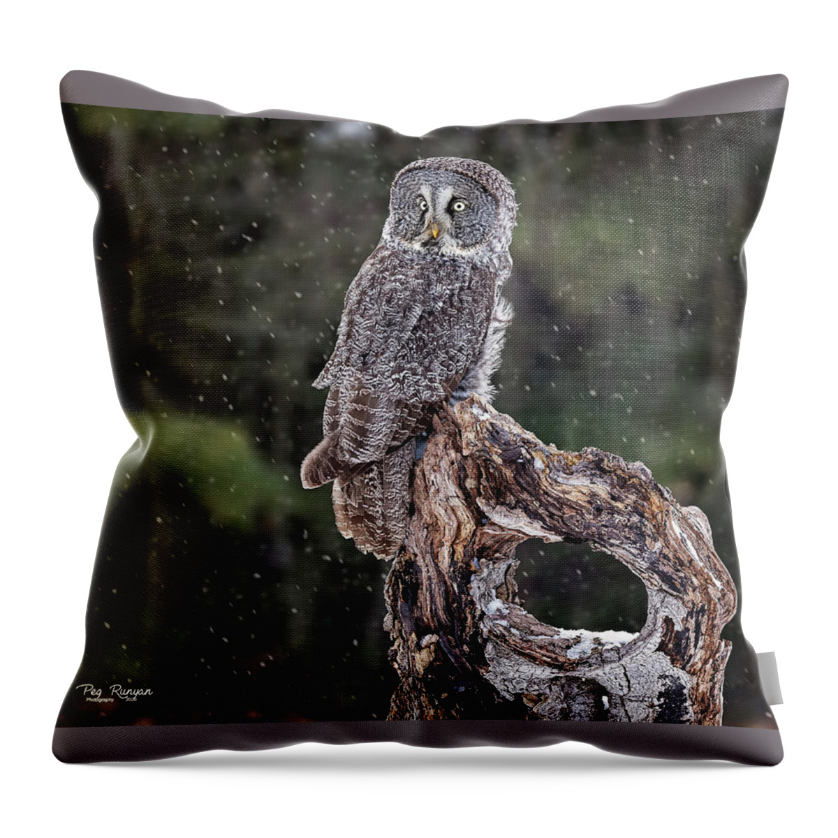 Owl Throw Pillow featuring the photograph The Great Gray by Peg Runyan