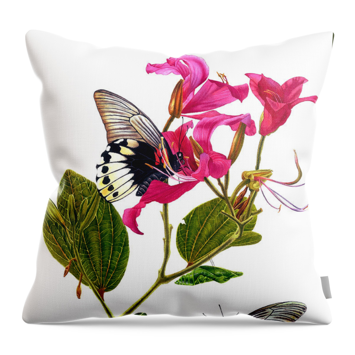 Papilio Memnon Throw Pillow featuring the painting The Great Mormon Butterfly by Espero Art