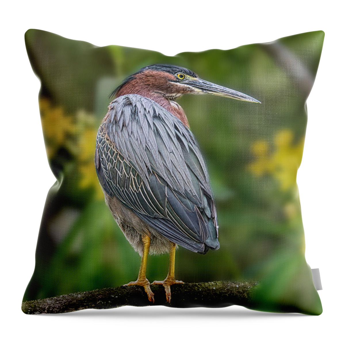 Birds Throw Pillow featuring the painting The Green Heron and Orchids by Judy Kay