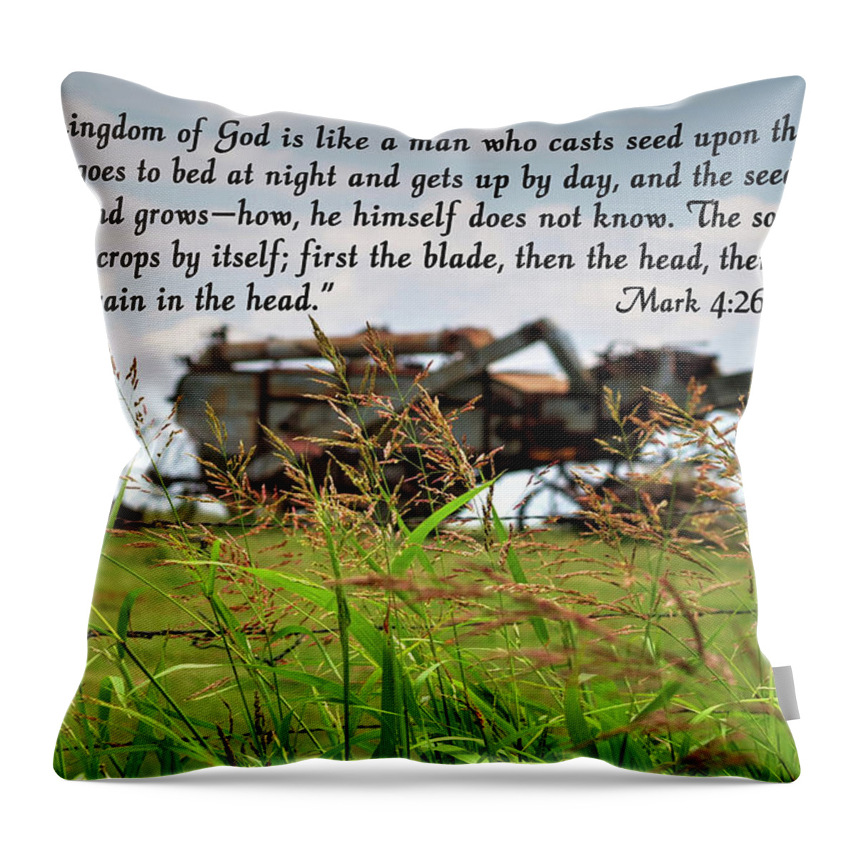 Seed Throw Pillow featuring the photograph The Growing Seed by Robert Harris