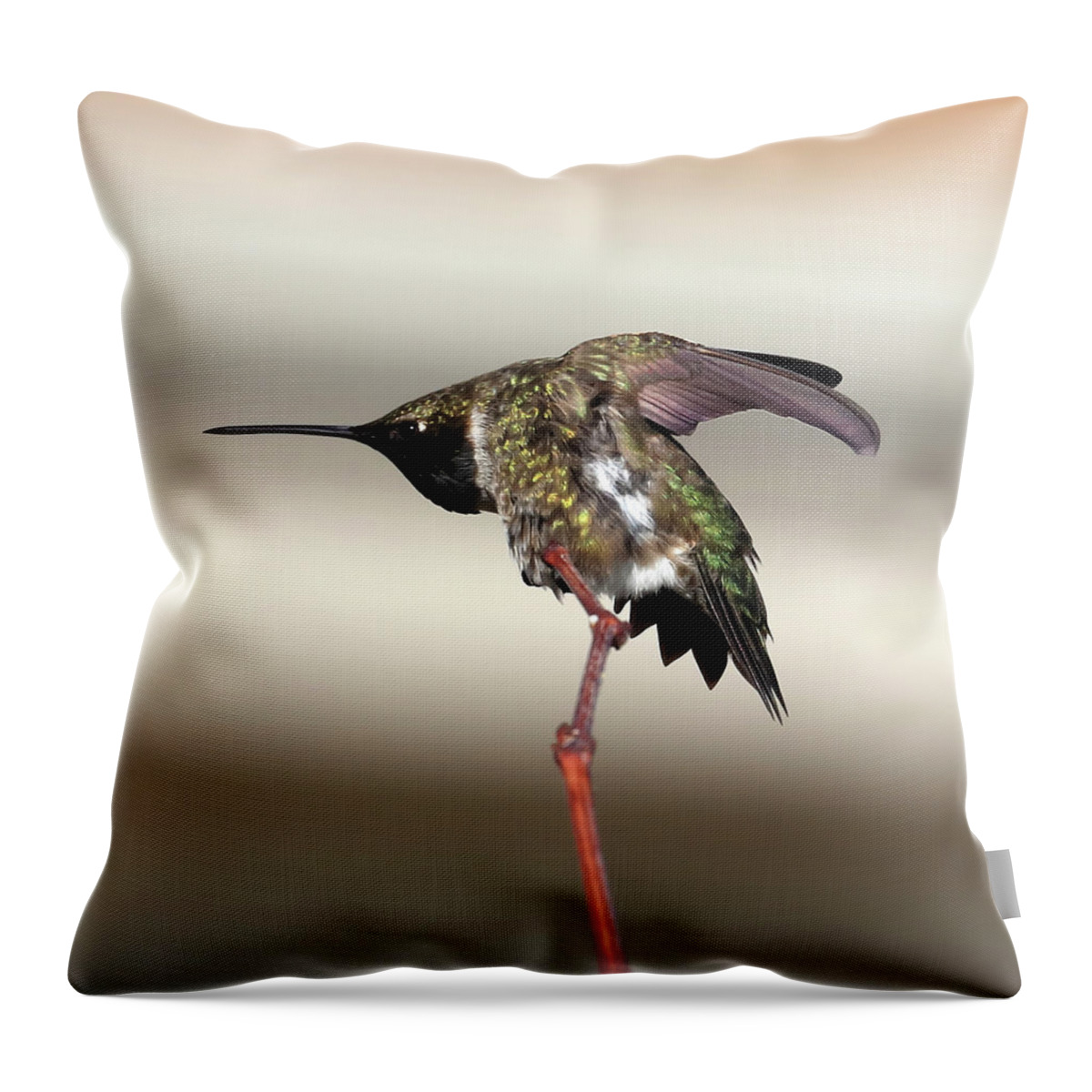Hummingbird Throw Pillow featuring the photograph The Guard by Shane Bechler