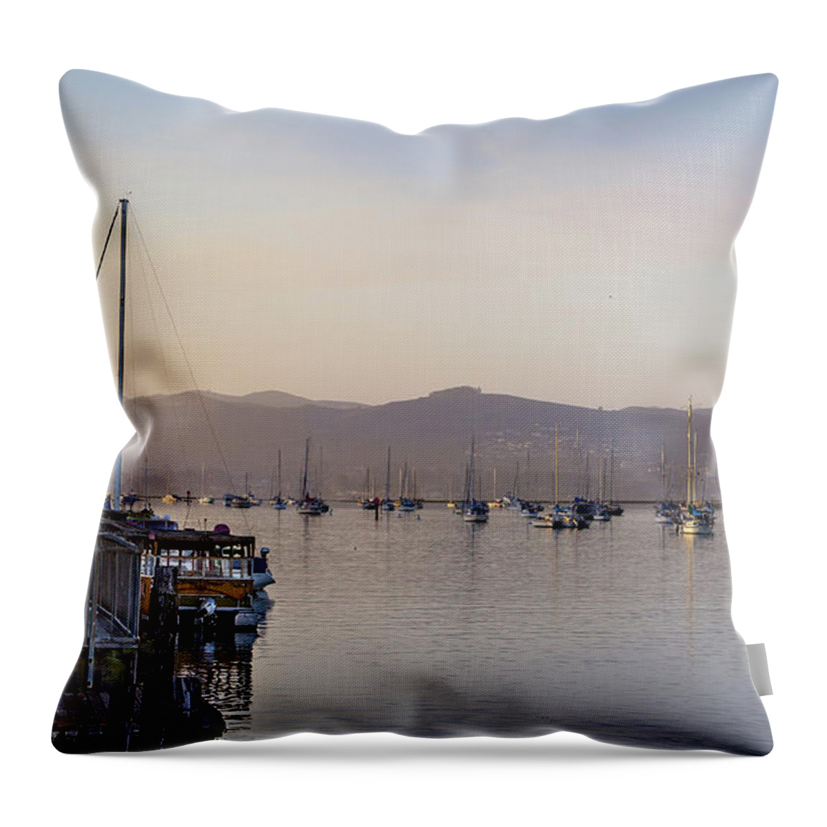 Boats Throw Pillow featuring the photograph The Harbor by Gina Cinardo