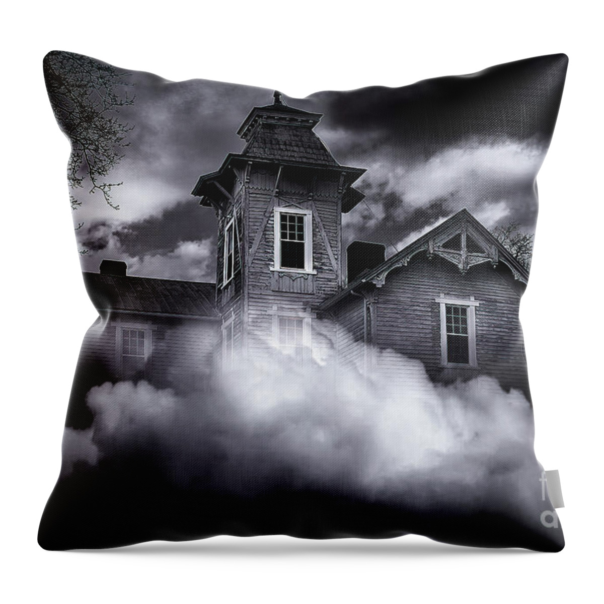 Haunted Throw Pillow featuring the photograph The Haunted House by Shelia Hunt