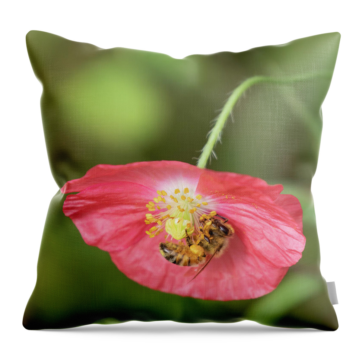 Shirley Poppy Throw Pillow featuring the photograph The Honey Bee and Poppy 2019 by Thomas Young