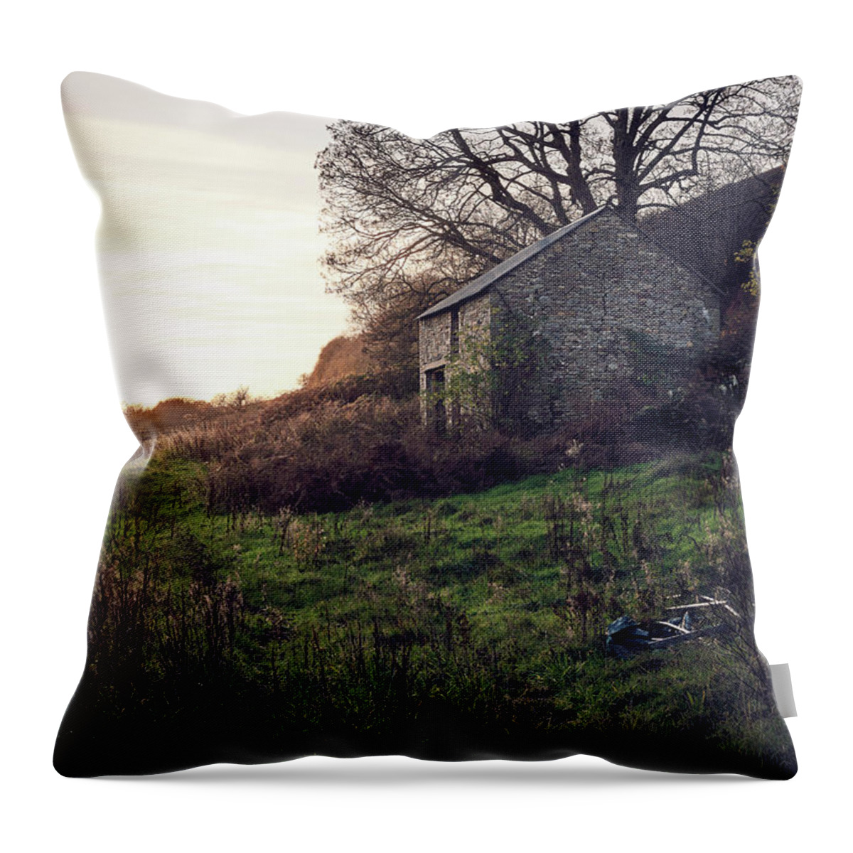 House Throw Pillow featuring the photograph The house upon the hill by Gavin Lewis