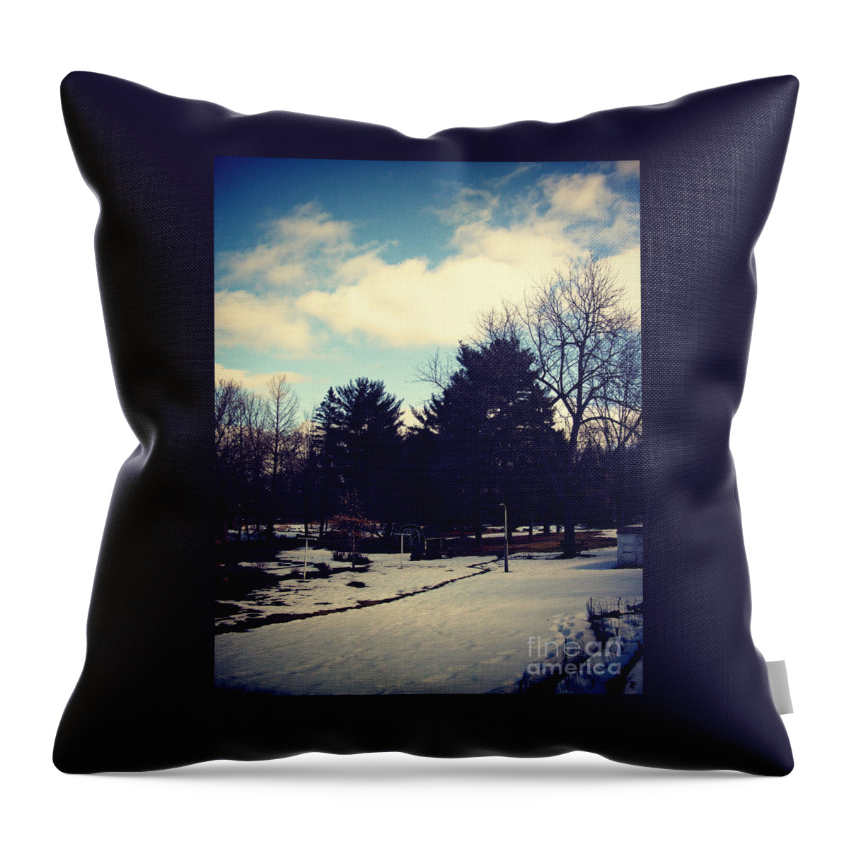 Color Throw Pillow featuring the photograph The Journey of Life by Frank J Casella