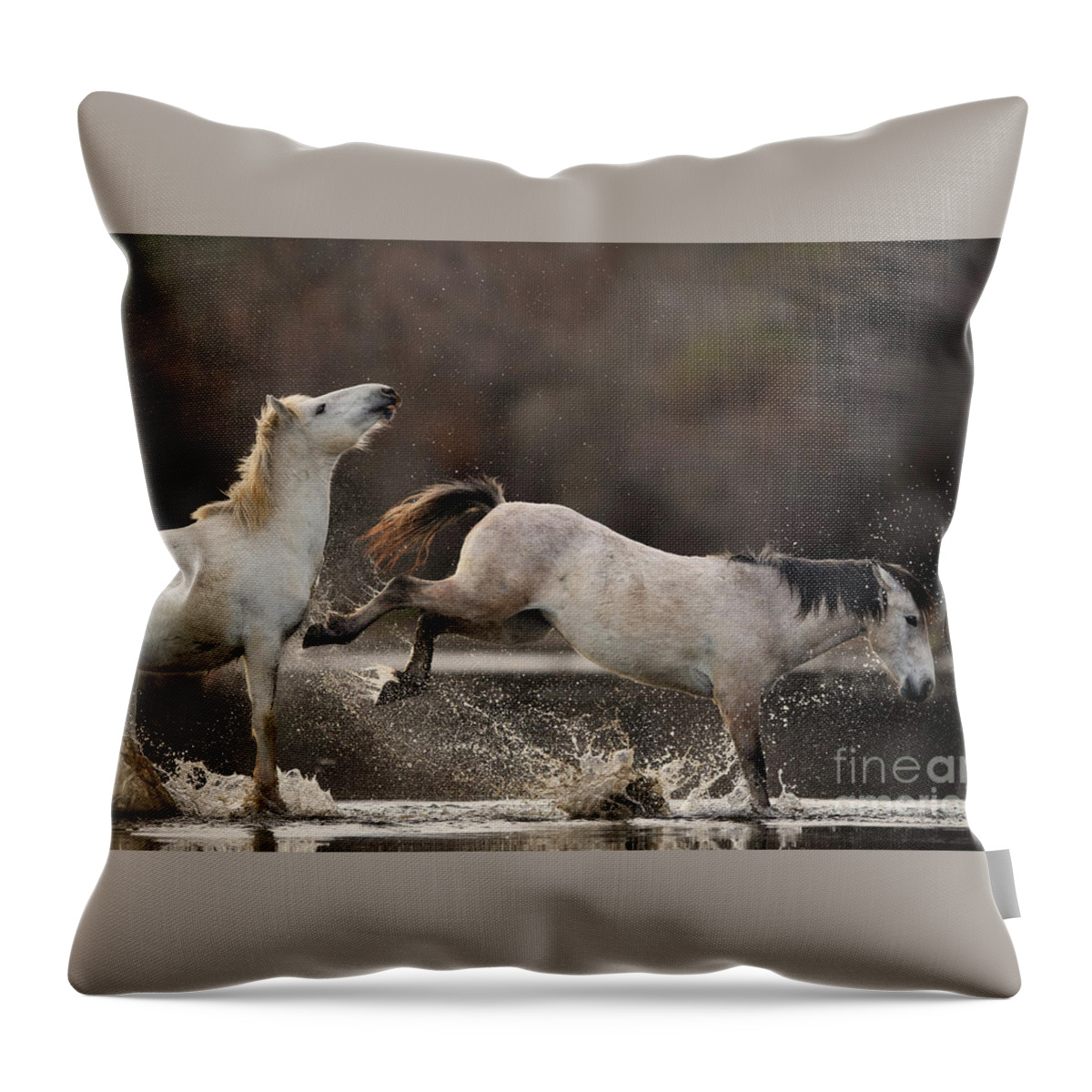 Salt River Wild Horses Throw Pillow featuring the photograph The Kick 2 by Shannon Hastings