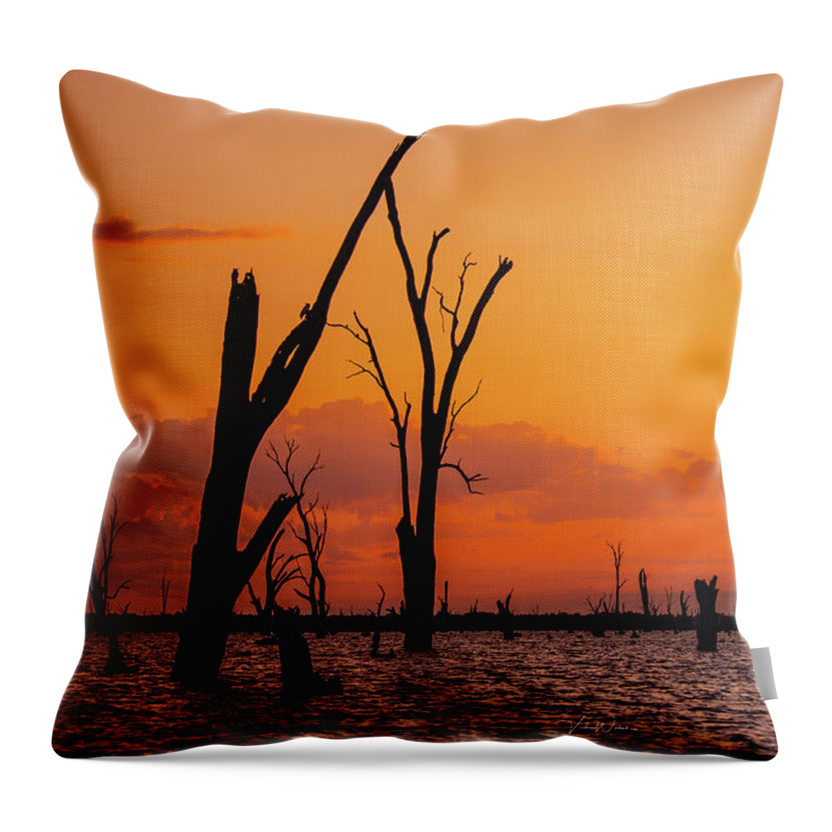 Orange Throw Pillow featuring the photograph The Lake by Vicki Walsh