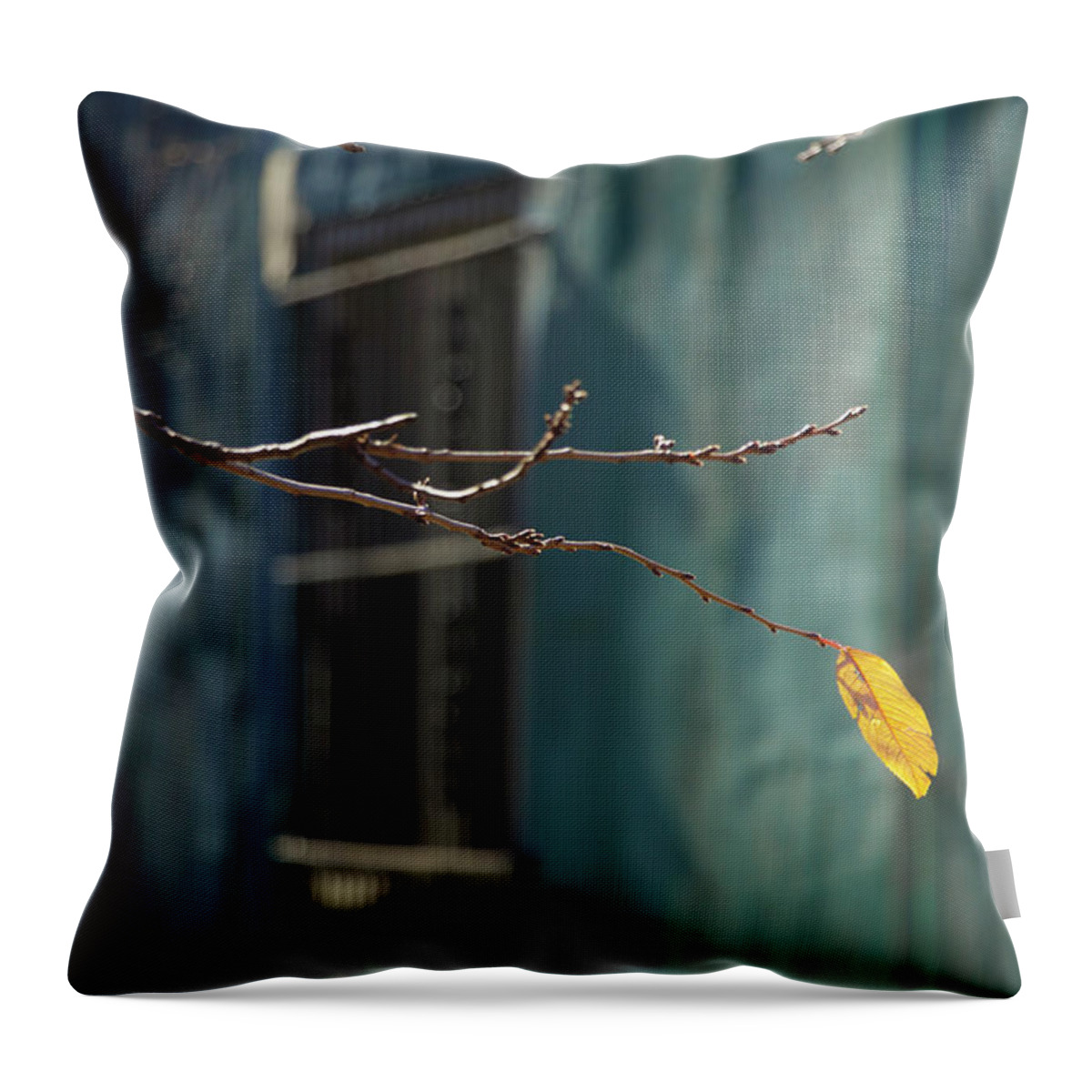 Yellow Leaf Throw Pillow featuring the photograph The Last Leaf by Clay Cofer