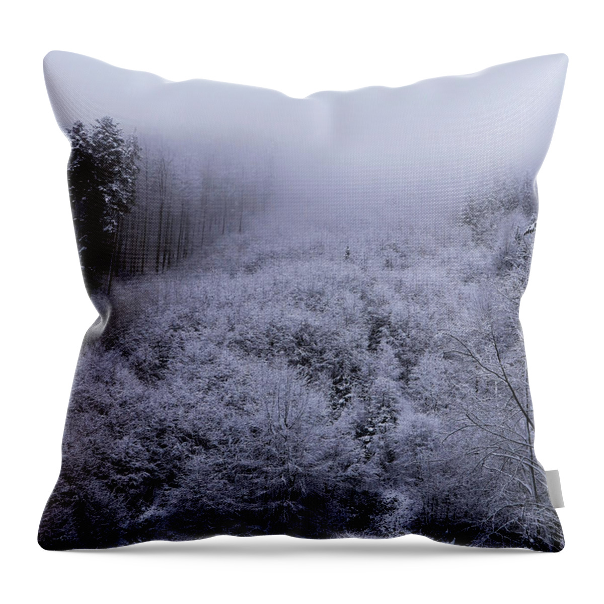 Beskydy Throw Pillow featuring the photograph The last remnants of the snow cover, together with the impenetrable fog, create a wonderful mystical atmosphere. Freak of winter nature. Haze is coming down from mountain to valley by Vaclav Sonnek