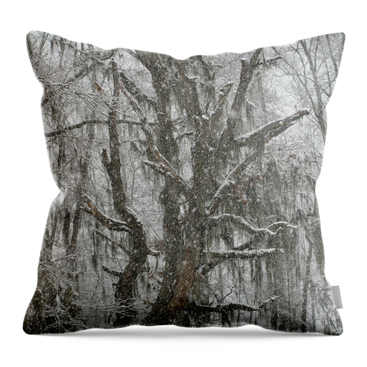 Snow Throw Pillow featuring the mixed media The Last Winter by Tracy Ruckman