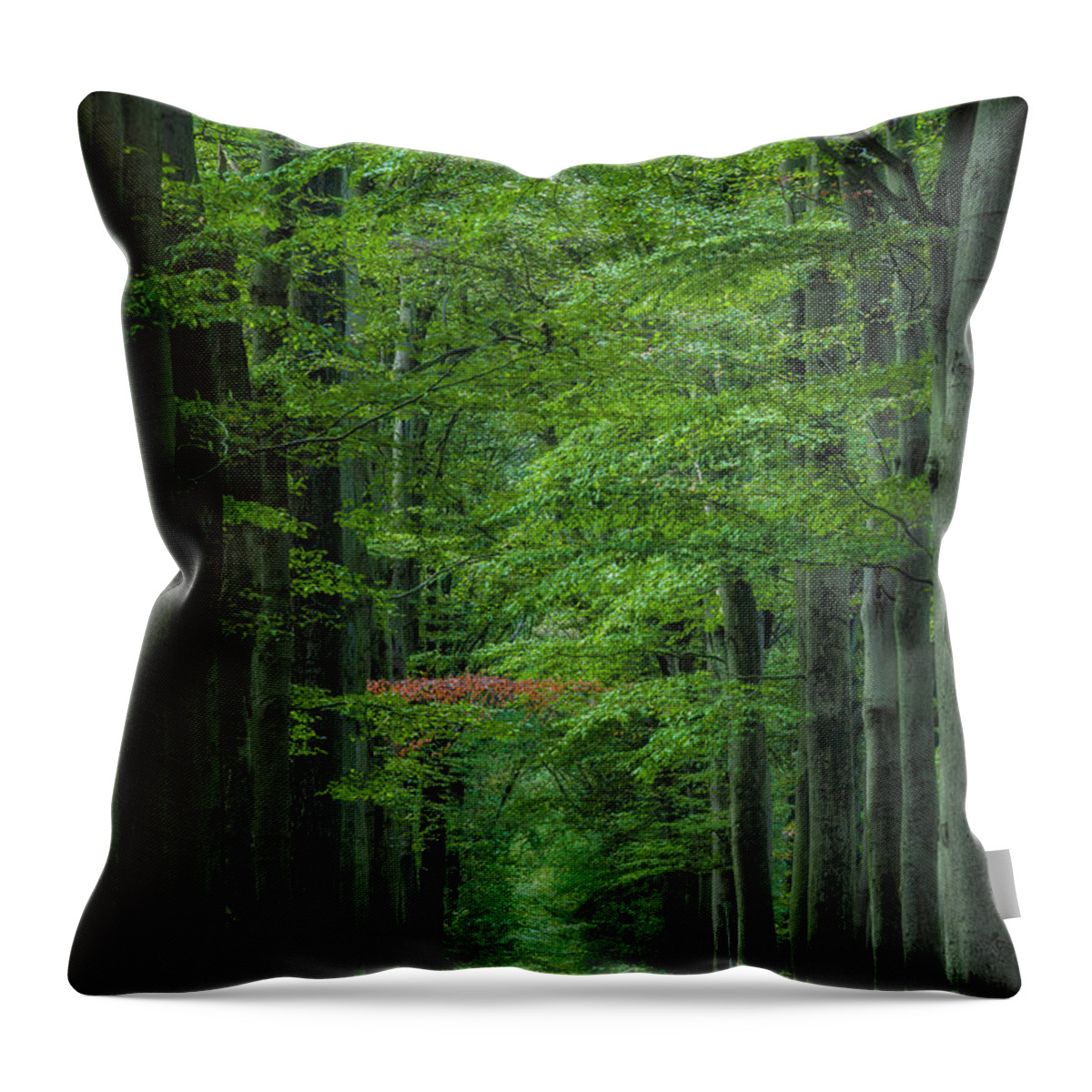 Forest Throw Pillow featuring the photograph The lonely branch by Patrick Van Os