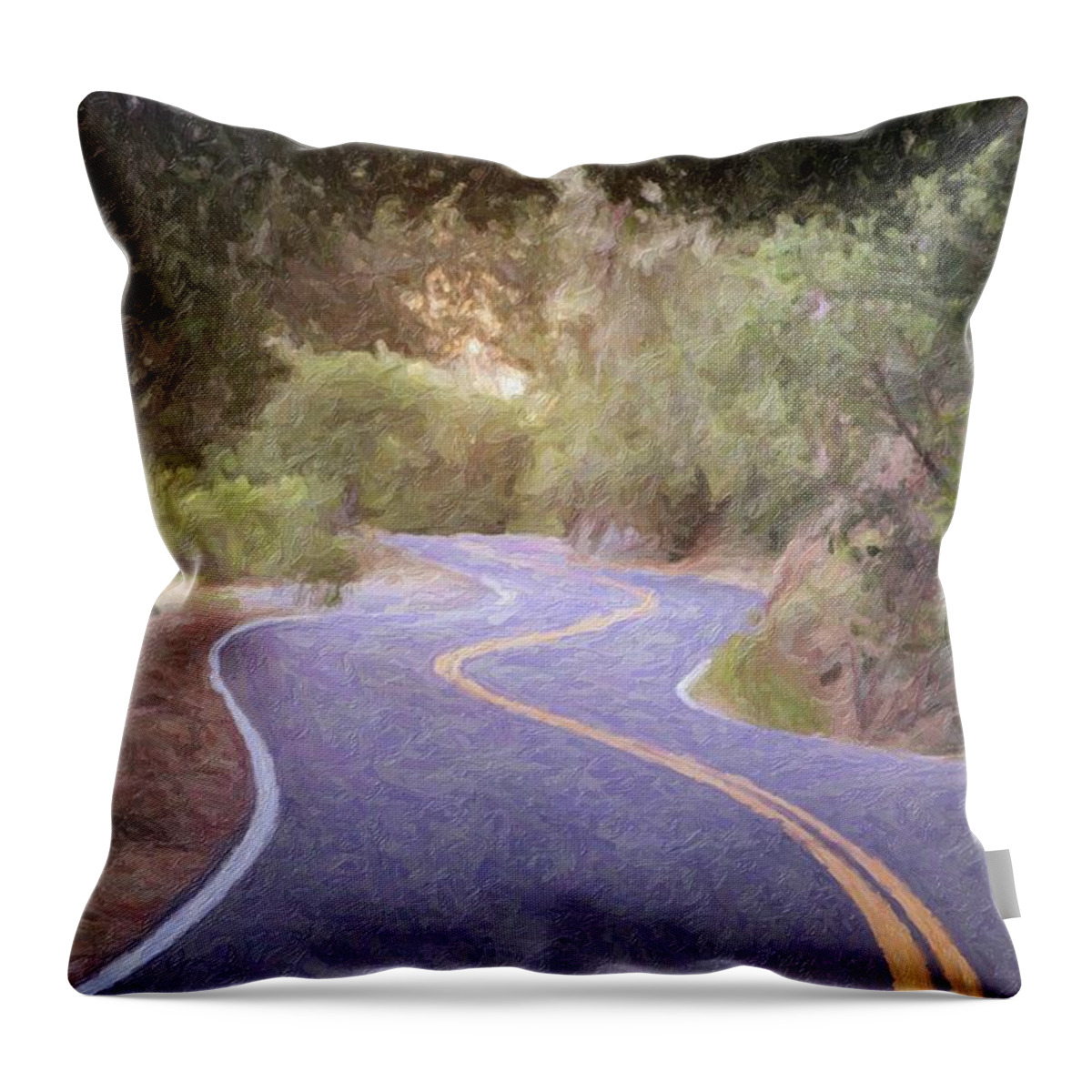 Rural Throw Pillow featuring the photograph The Long and Winding Road by Carolyn Ann Ryan