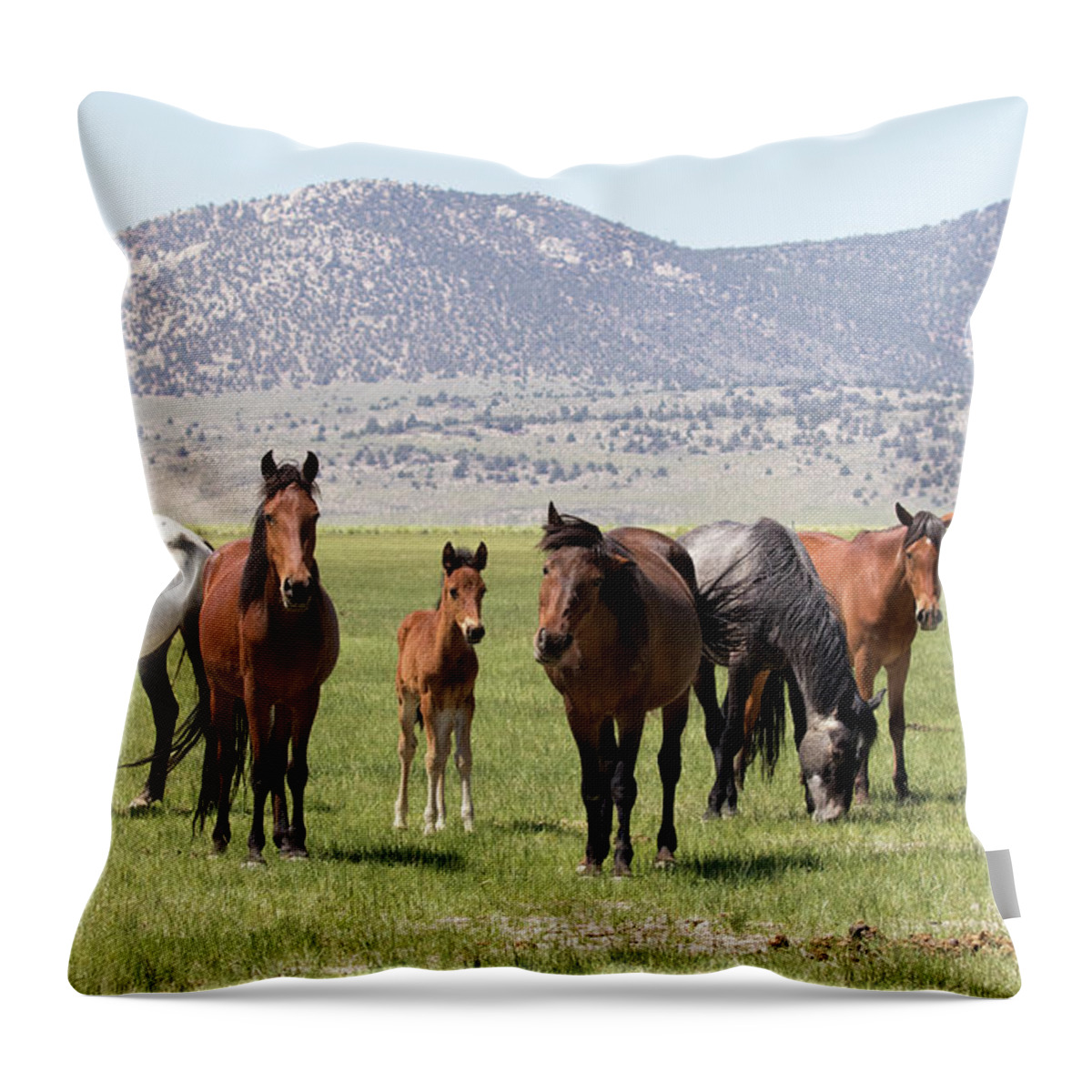 Eastern Sierra Throw Pillow featuring the photograph The Magnificent Seven by Cheryl Strahl