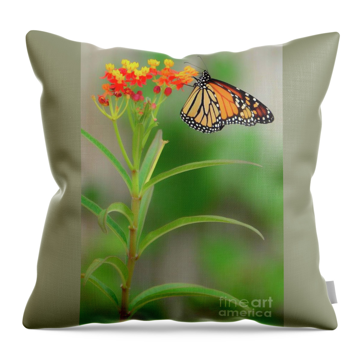 Monarch Butterflies Throw Pillow featuring the digital art The Majestic Monarch by Alison Belsan Horton