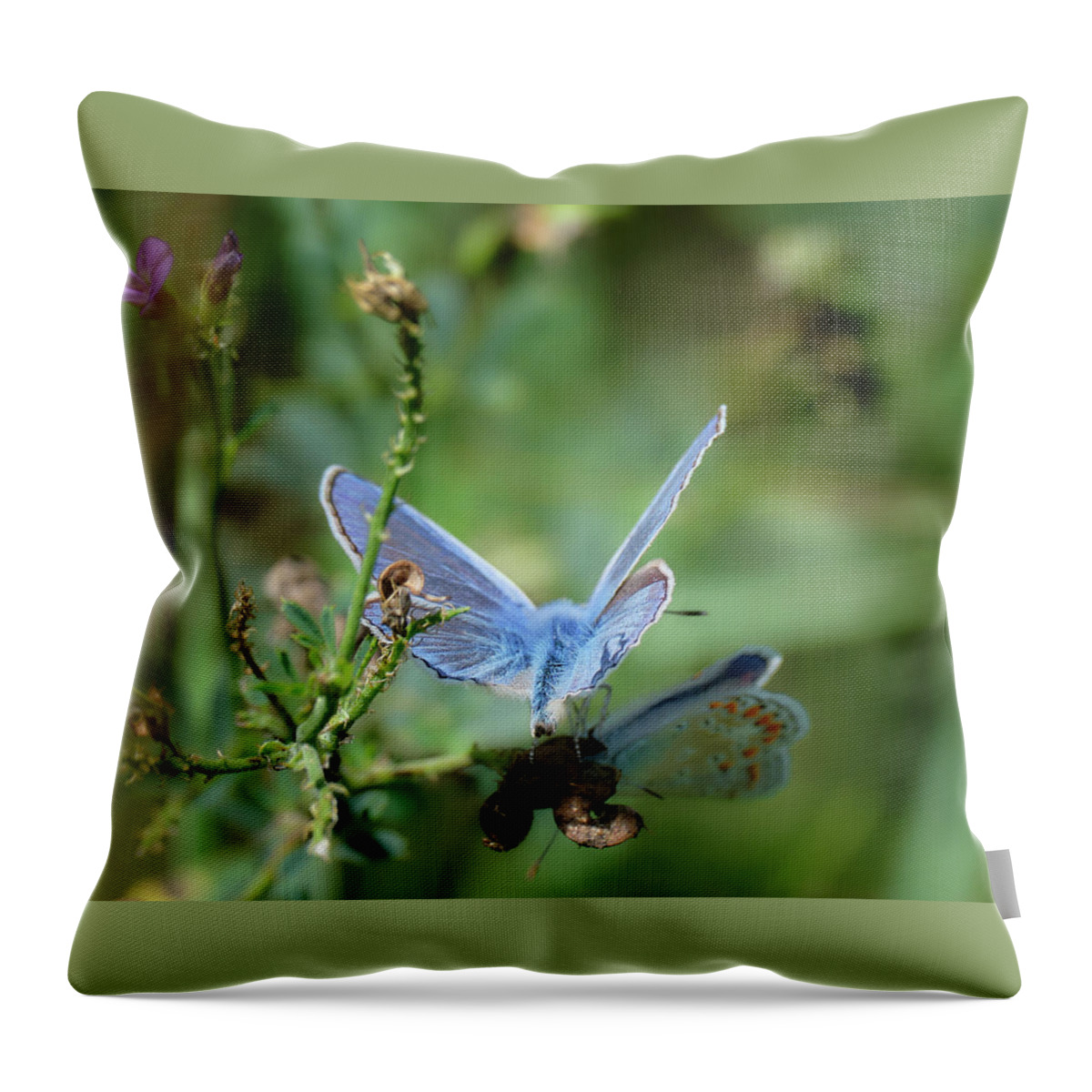 Lac Fauvel Throw Pillow featuring the photograph The Mirrors Butterfly by Carl Marceau