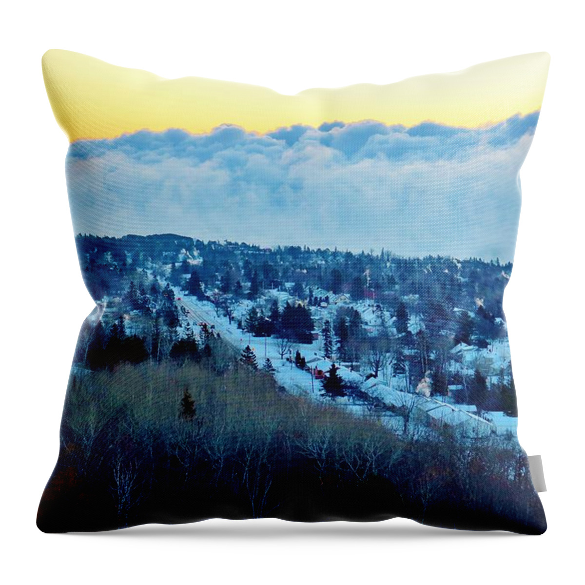  Throw Pillow featuring the photograph The Mist by Michelle Hauge