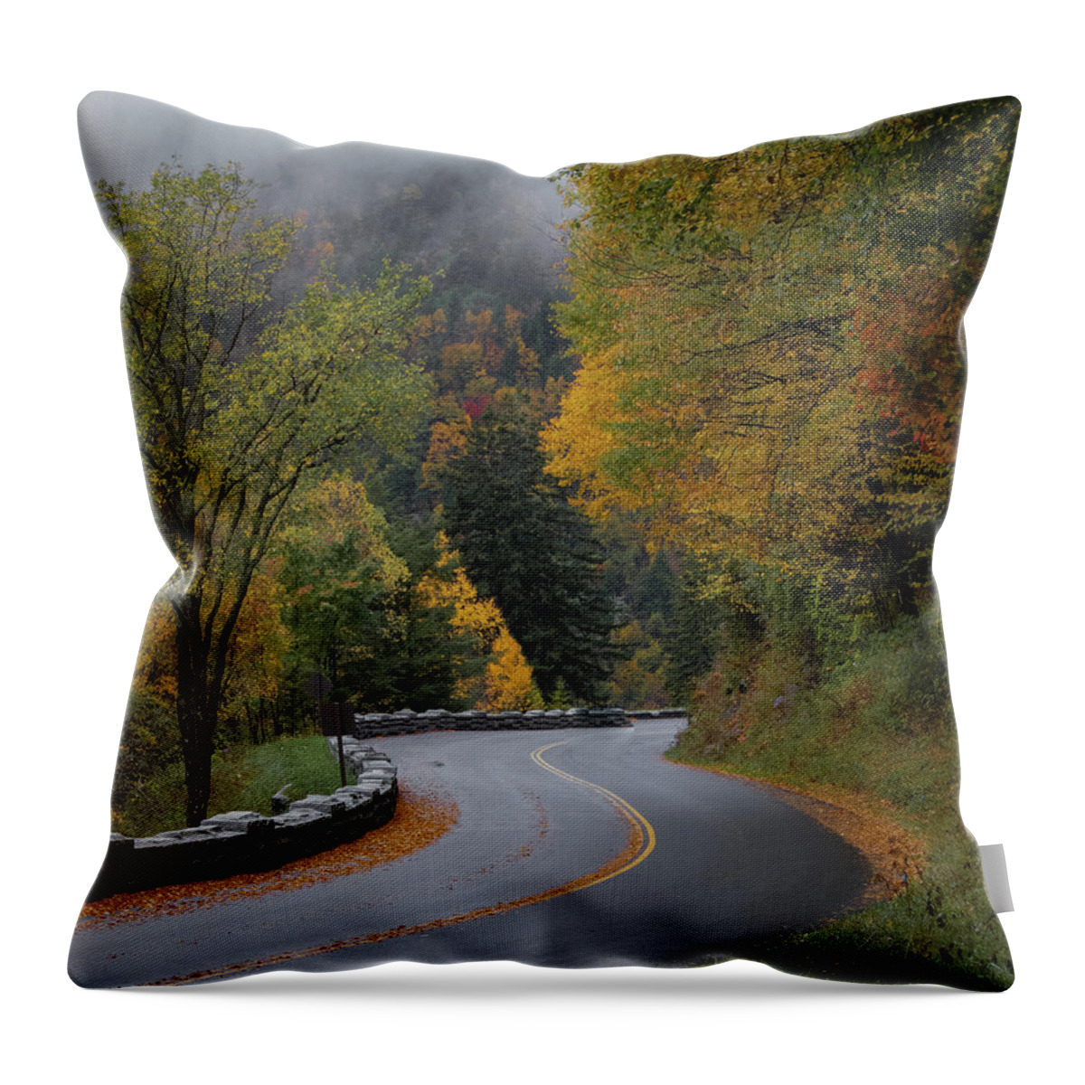 Landscape Throw Pillow featuring the photograph The Mountain Road by Jamie Tyler