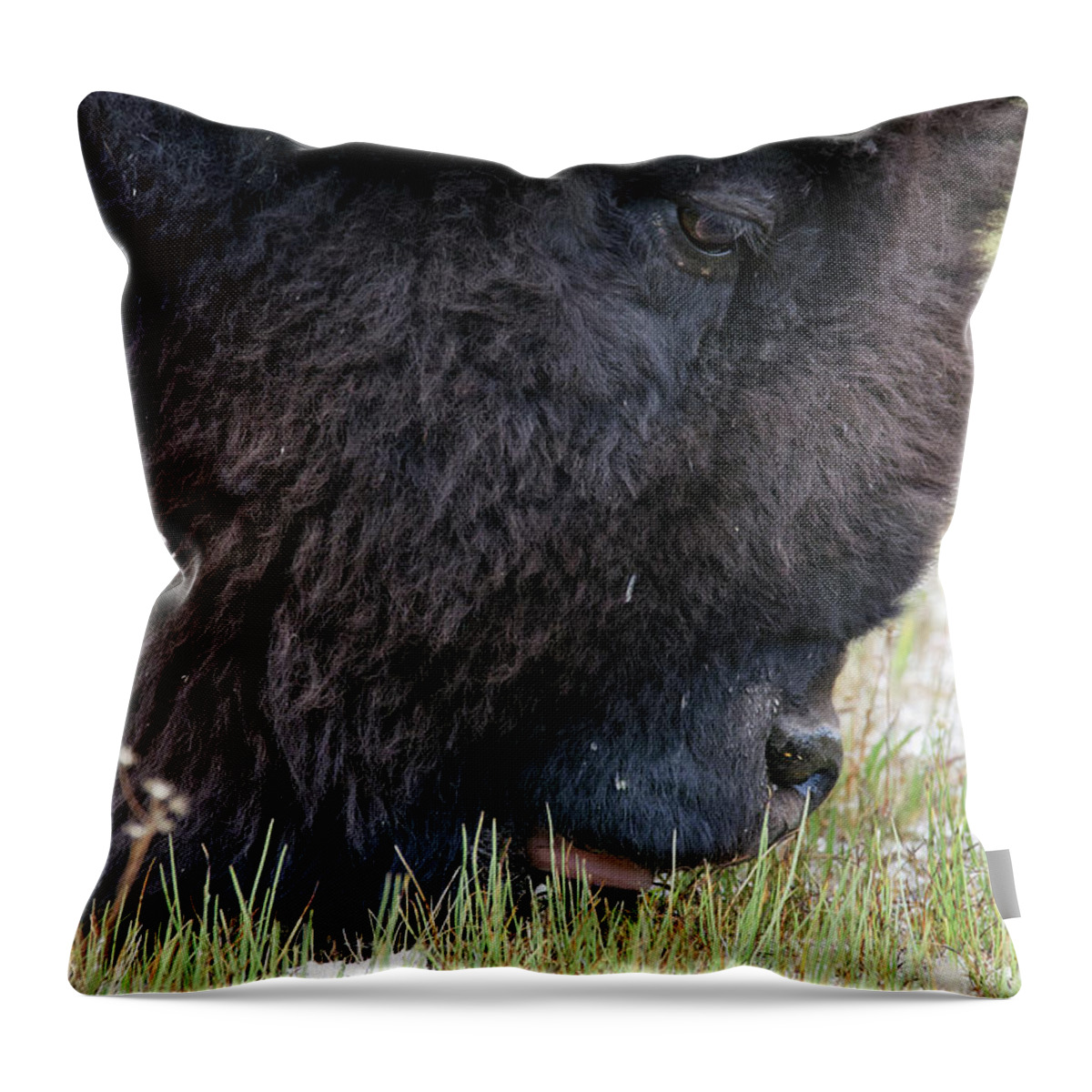 The Mowers Of Yellowstone Throw Pillow featuring the photograph The Mowers of Yellowstone -- American Bison in Yellowstone National Park, Wyoming by Darin Volpe