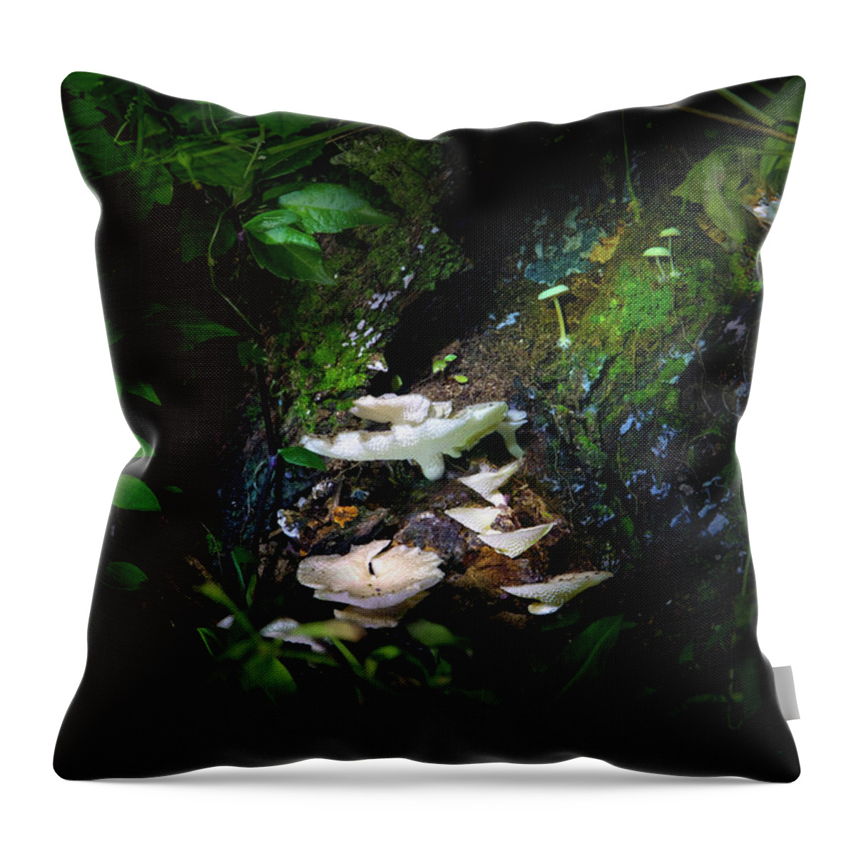 Mushrooms Throw Pillow featuring the photograph The Mushroom Grotto by Mark Andrew Thomas