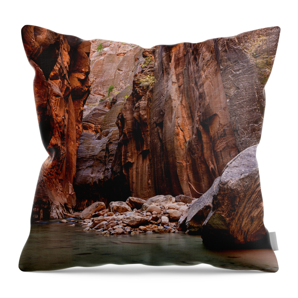 Fall Throw Pillow featuring the photograph The Narrows by Michael Scott