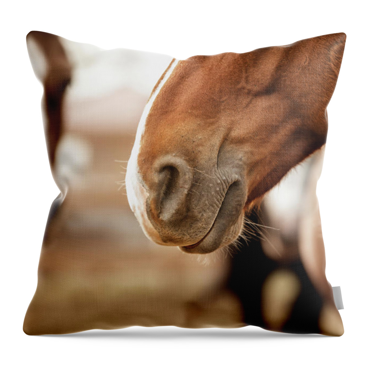 Horse Throw Pillow featuring the photograph The Nose Knows by Ryan Courson
