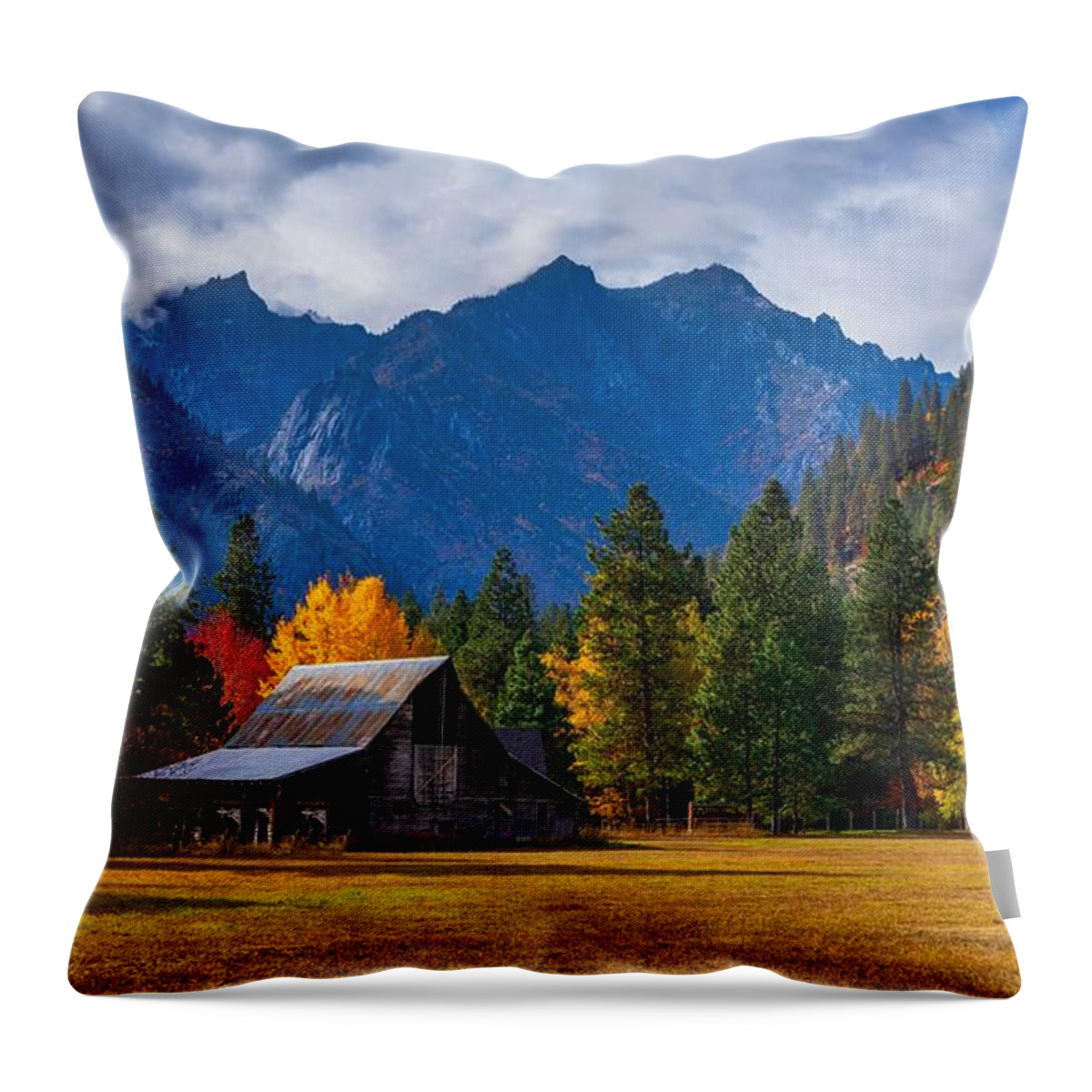 The Old Homestead Throw Pillow featuring the photograph The Old Homestead by Lynn Hopwood