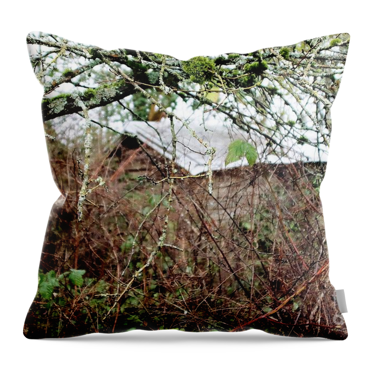 Shed Throw Pillow featuring the photograph The Old Shed by Kimberly Furey