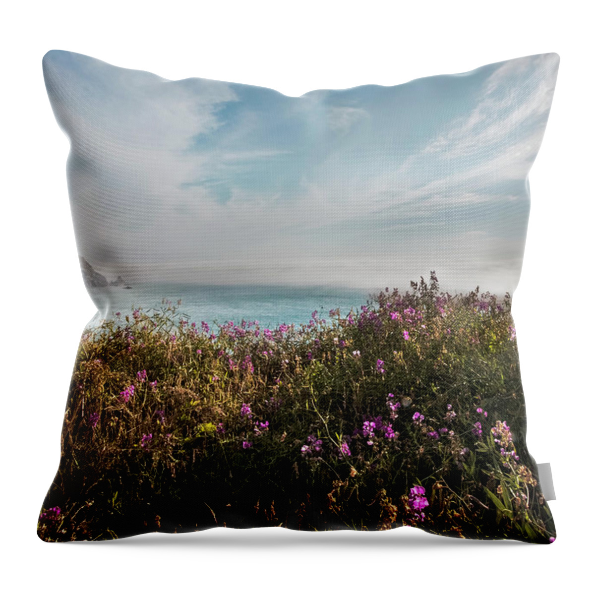 Clouds Throw Pillow featuring the photograph The Pacific Coastline Wildflowers in Soft Hues by Debra and Dave Vanderlaan