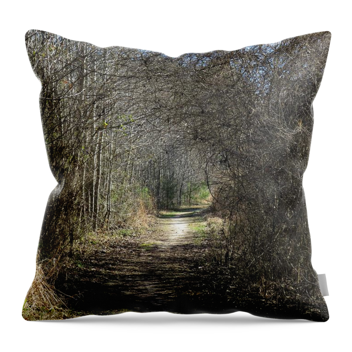 Path Throw Pillow featuring the photograph The Path Forward by Ed Williams