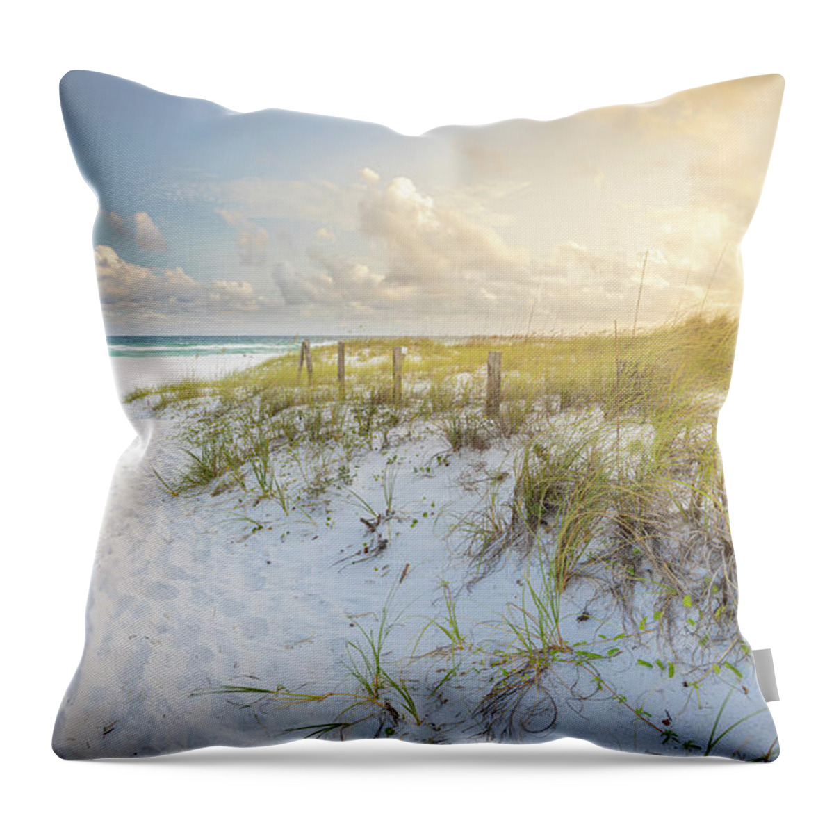 Beach Throw Pillow featuring the photograph The Path To The Seashore At Gulf Islands National Seashore Florida by Jordan Hill