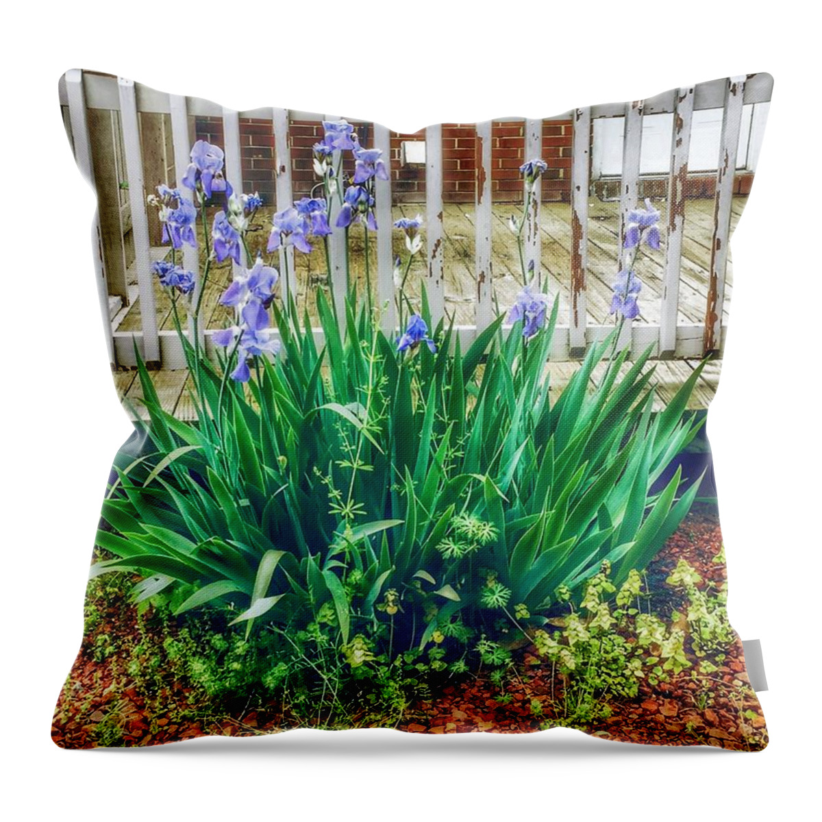 Iris Throw Pillow featuring the photograph The Plural of Iris is Iris by Patricia Greer