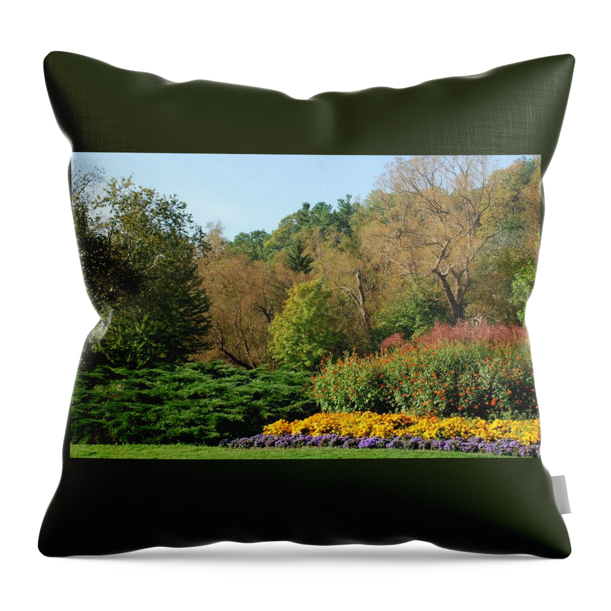 Trees Throw Pillow featuring the photograph The Power Of Abundance by Ee Photography