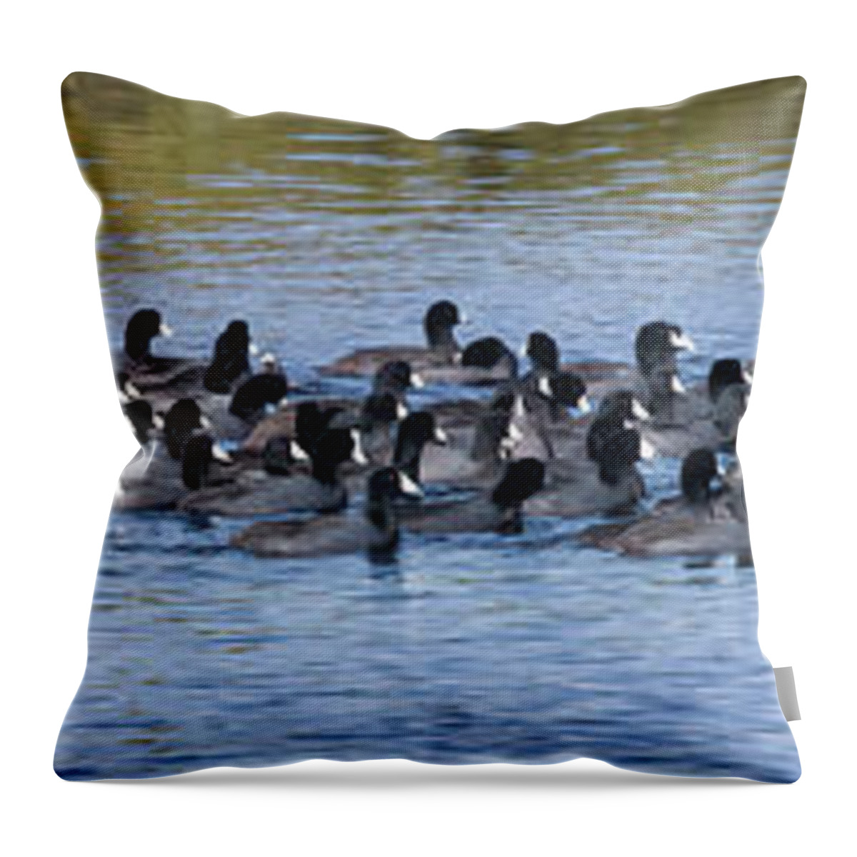 The Procession Throw Pillow featuring the photograph The Procession, Winter Migrating Coots At Merritt Island National Wildlife Refuge by Felix Lai