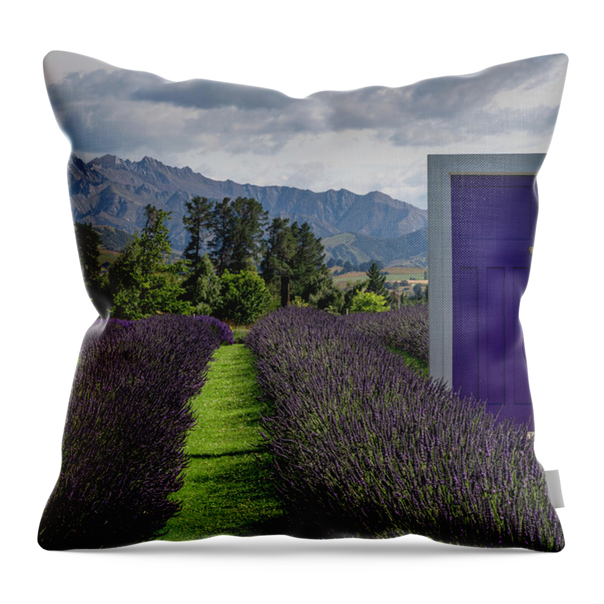 Beautiful Throw Pillow featuring the photograph The purple door on the Lavender Farm in Wanaka with the mountains in the background by Anges Van der Logt