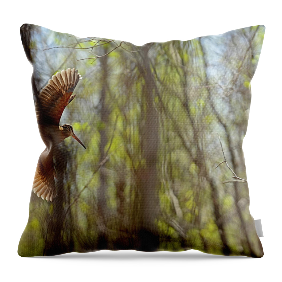 American Woodcock Throw Pillow featuring the photograph The Queen of the Woods in flight by Asbed Iskedjian