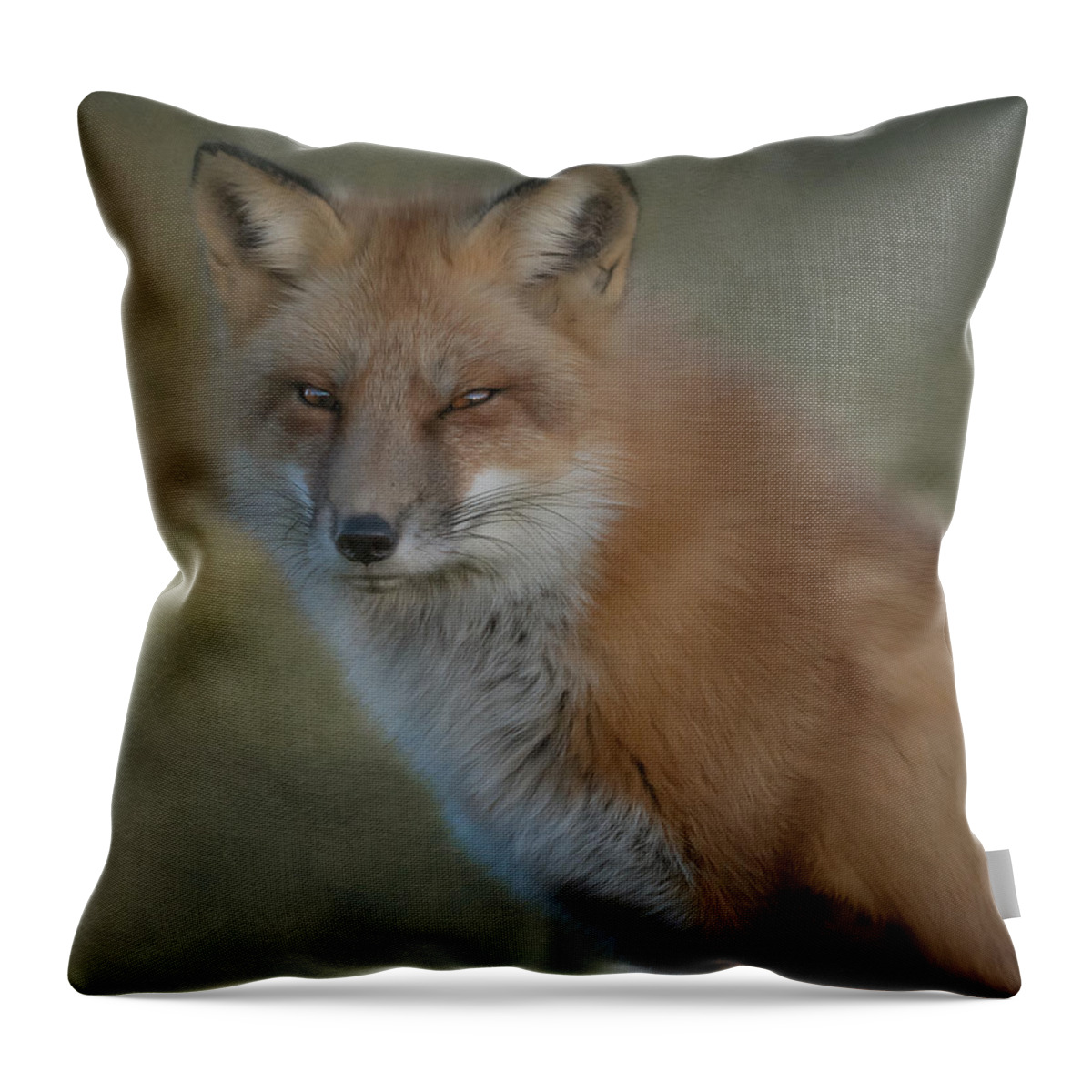 Red Fox Throw Pillow featuring the photograph The Red Fox Stare by Sylvia Goldkranz