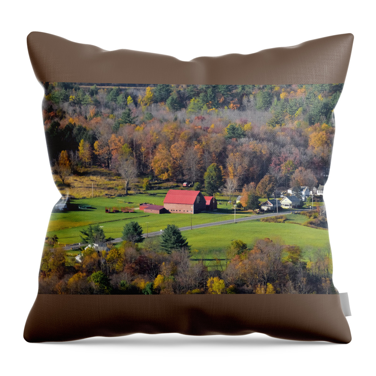 The Red Roof Throw Pillow featuring the photograph The Red Roof by Christina McGoran