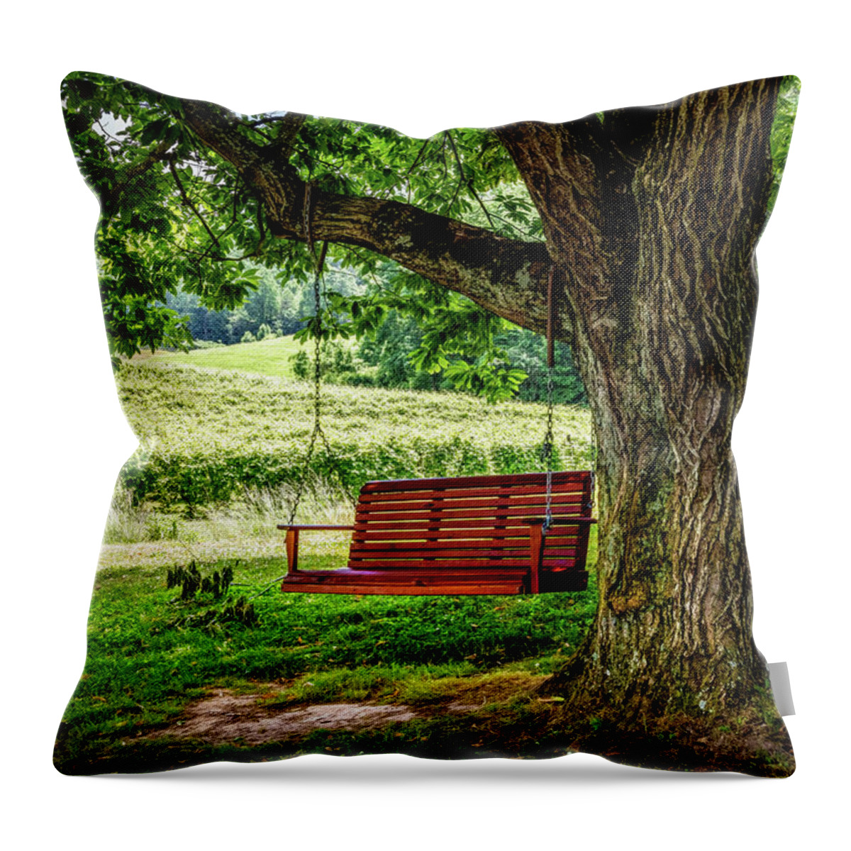 Swing Throw Pillow featuring the photograph The Red Swing at Cartecay by Debra and Dave Vanderlaan