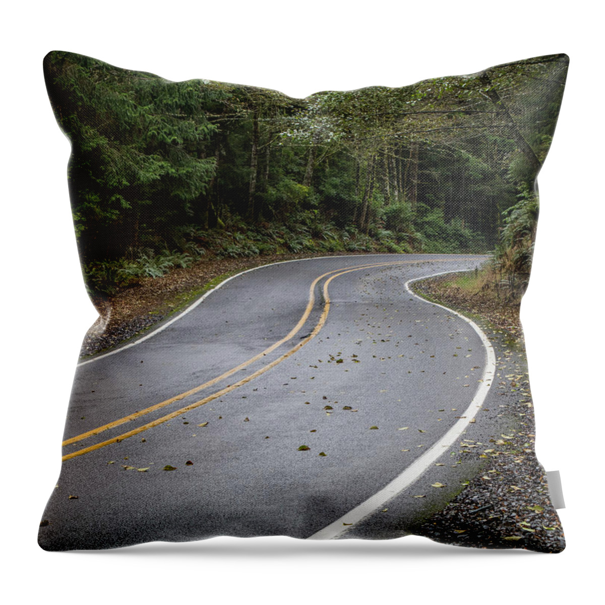 2018 Throw Pillow featuring the photograph The Road Ahead by Gerri Bigler