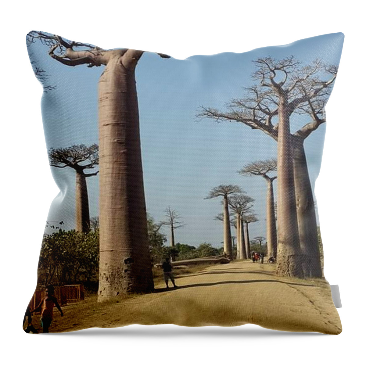 All Throw Pillow featuring the digital art The Road in Baobab Alley in Madagascar KN49 by Art Inspirity
