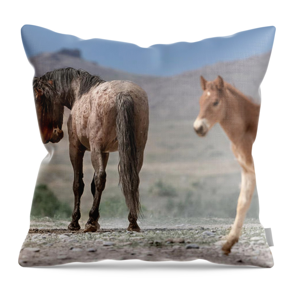 Stallion Throw Pillow featuring the photograph The Roans. by Paul Martin